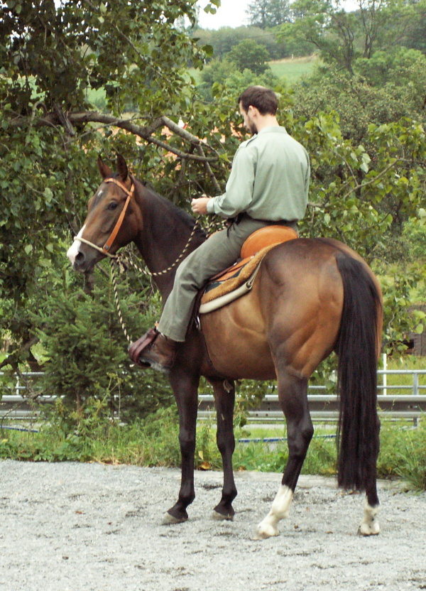 PICT0027.JPG