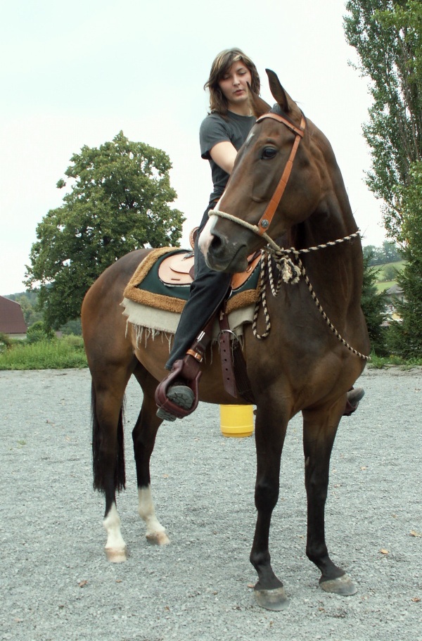 PICT0052.JPG