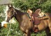 PICT0032.jpg